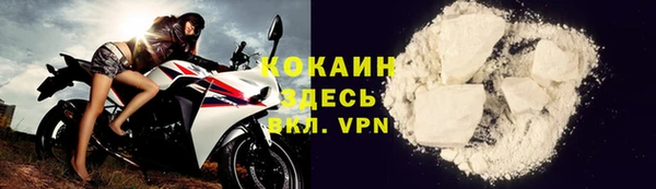 крисы Богородск