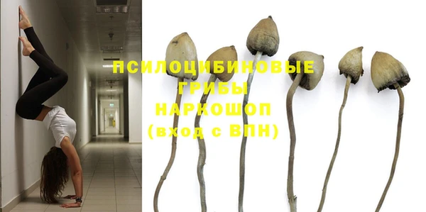 марки nbome Богородицк