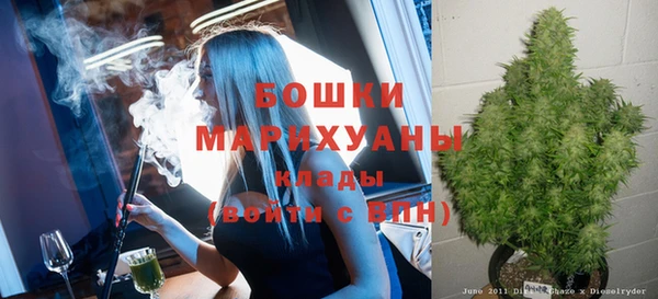 ГАЛЛЮЦИНОГЕННЫЕ ГРИБЫ Балабаново