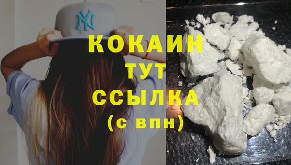 мяу мяу мука Богданович