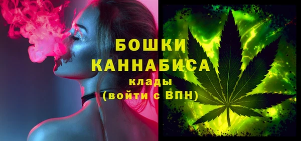 крисы Богородск