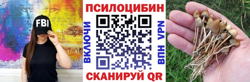 Галлюциногенные грибы Magic Shrooms  Свирск 